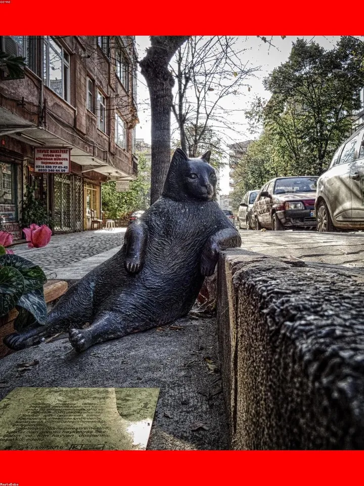 Florida car culture photo 1 at a Florida Boi Motorsports community meet