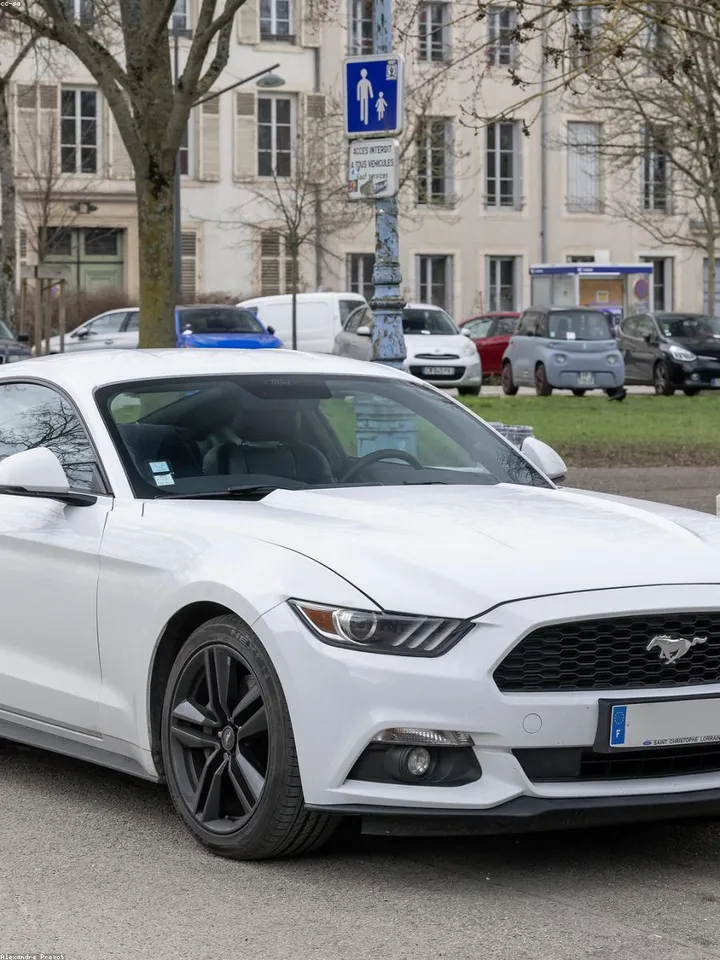 Florida car culture photo 2 at a Florida Boi Motorsports community meet